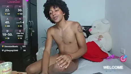 Isaac_walls webcam model stream image