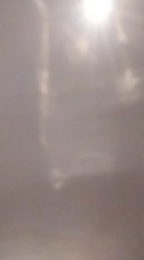 Pokietommy webcam model stream image