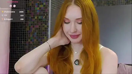 MayaSolar webcam model stream image