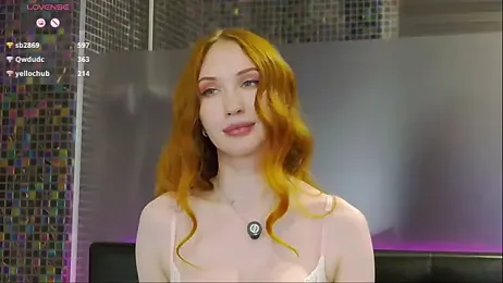 MayaSolar webcam model stream image