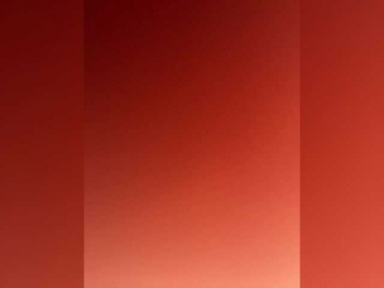 PARAmeow webcam model stream image