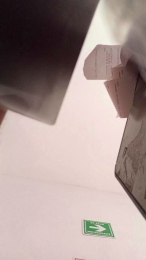 Pollaaac4 webcam model stream image