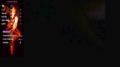fntbzh webcam model stream image