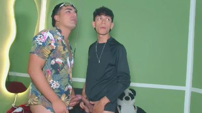 hankhand webcam model stream image