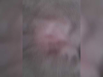 EDARI webcam model stream image