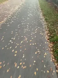 Tomkitomkii webcam stripchat model stream image