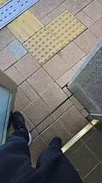 oldboji webcam model stream image