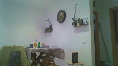 latinomulat1 webcam model stream image