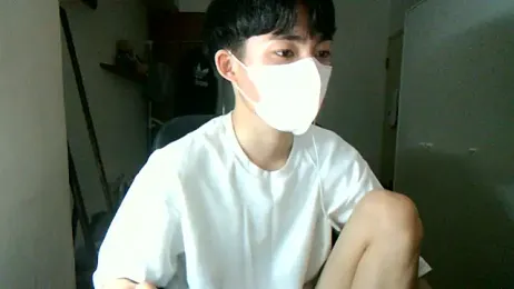 max5388 webcam model stream image