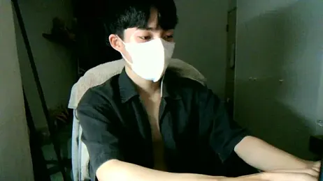 max5388 webcam model stream image