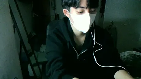 max5388 webcam model stream image