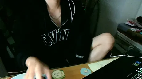 max5388 webcam model stream image