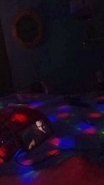 Carcaman webcam model stream image