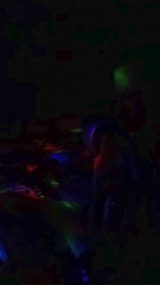 Carcaman webcam model stream image