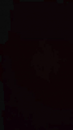 ferr76 webcam model stream image