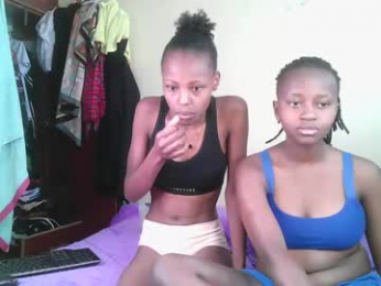 trazic_ webcam model stream image