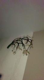 marssounet webcam model stream image