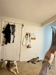 ThornsandHoney webcam model stream image