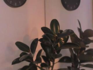 Amely Grey webcam model stream image