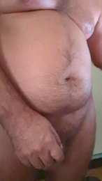 4335gs11 webcam model stream image