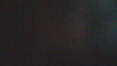Kittysight webcam model stream image