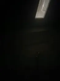 2HandsLong webcam model stream image