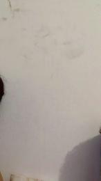 viikealex webcam cam4 model stream image