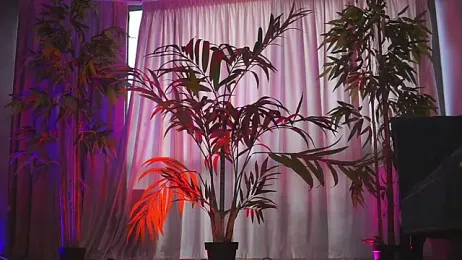 HotBustyBabeX webcam model stream image