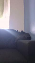 Manondemarseill webcam model stream image