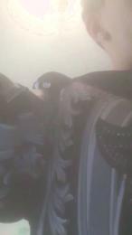 Angelitoandres webcam model stream image