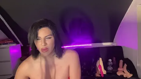 parisse_trans webcam model stream image