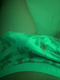 grospaff-699 webcam model stream image