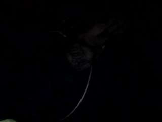 gatz7 webcam model stream image