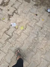 Outdoor_backup webcam model stream image