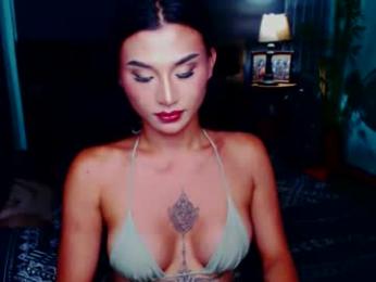 msasianbigcockts webcam model stream image