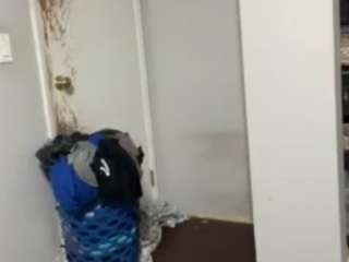 mrwetkat webcam model stream image