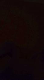 porcellini23 webcam model stream image