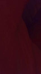 KinkyNikyxxx webcam model stream image