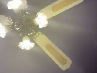 heseverlasting webcam camsoda model stream image