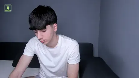 Quentin_Blake webcam model stream image