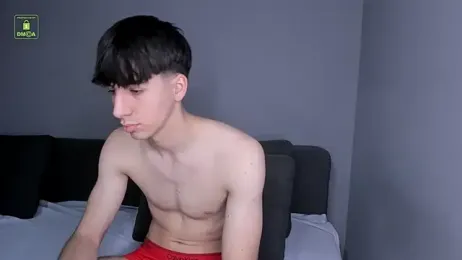 Quentin_Blake webcam model stream image