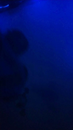 ELREYDELMAR45 webcam model stream image