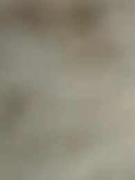 Desihot_Hyderabad webcam model stream image