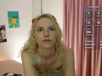 Visbee webcam model stream image