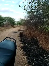 peladowisk webcam model stream image