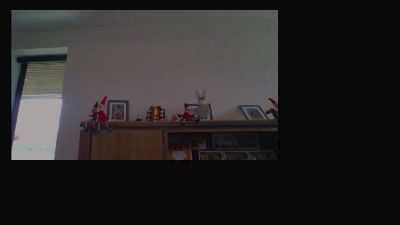 raphbert webcam model stream image