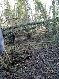 MrDickLongturn webcam model stream image