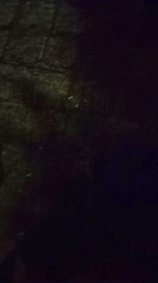 Uber_dotCtba webcam model stream image