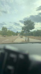 bntpas webcam cam4 model stream image