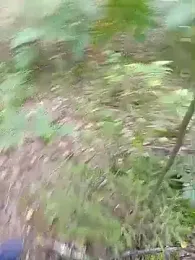 demoniczny82 webcam model stream image